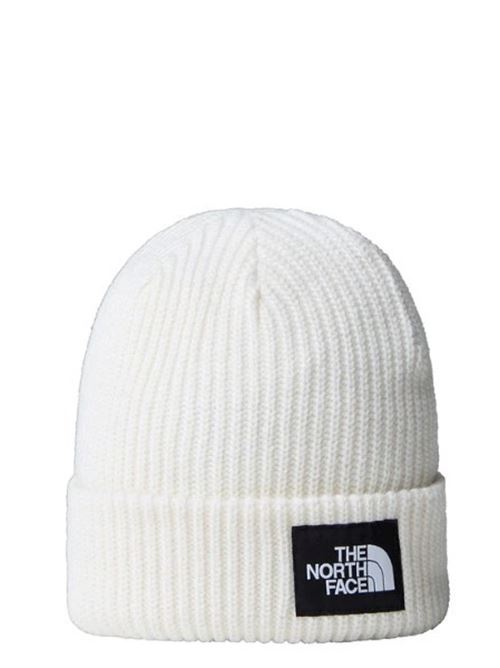 salty lined beanie THE NORTH FACE | NF0A3FJWQLI1.QLI1